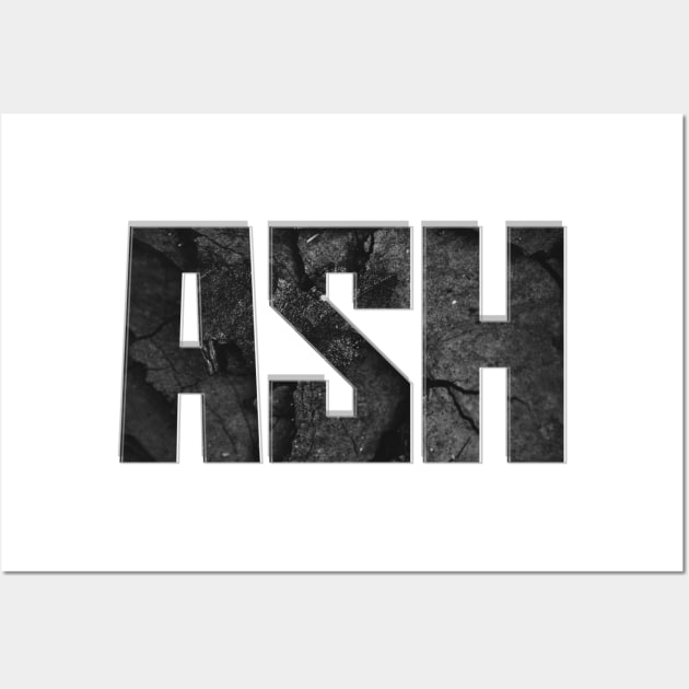 ASH Wall Art by afternoontees